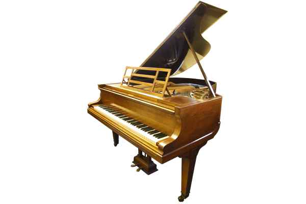 Photo of Bluthner  Style 5 Grand piano